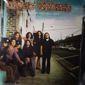 Debut album buy American band Lynyrd Skynyrd vintage